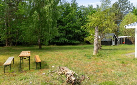 Rietrikki - 1.5Km from the Sea: Tree, Grass, Land Lot, Rural Area, Lawn, Trunk, Spring, Woodland, Garden