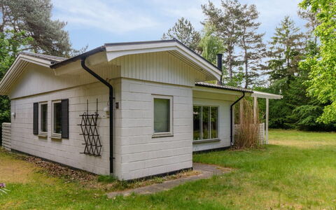 Rietrikki - 1.5Km from the Sea: Tree, Building, Wood, House, Roof, Home, Cottage, Siding, Residential Area, Land Lot