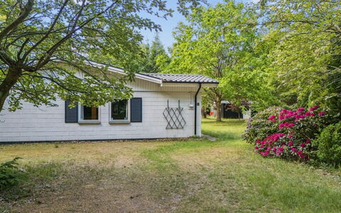 Rietrikki - 1.5Km from the Sea: Tree, Grass, House, Home, Shrub, Residential Area, Cottage, Garden, Lawn
