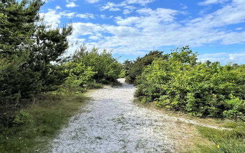 Efka - 175M from the Sea: Roof, House, Land Lot, Home, Cottage, Estate, Garden Buildings, Shade, Log Cabin, Landscaping
