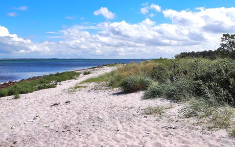 Liselotte - 275M from the Sea: Furniture, Couch, Interior Design, Flooring, Living Room, Floor, Throw Pillow, Room, Pillow