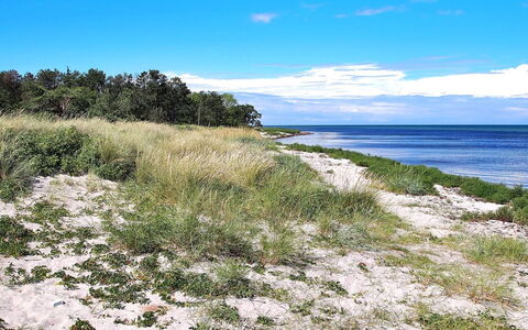 Liselotte - 275M from the Sea: Furniture, Couch, Interior Design, Flooring, Living Room, Floor, Throw Pillow, Room, Pillow