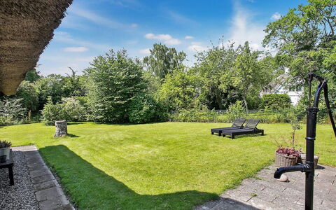Sibo - 1.5Km from the Sea: Grass, Shrub, Garden, Landscape, Land Lot, Lawn, Shade, Landscaping, Backyard, Yard