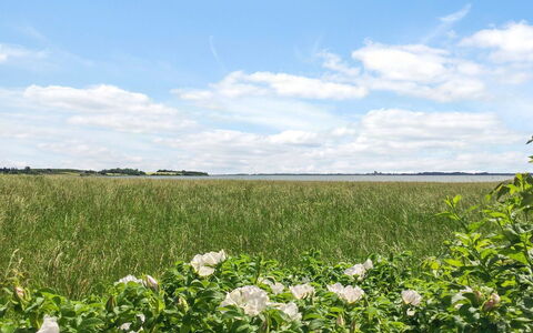 Vojo - 100M from the Sea: Sky, Blue, Green, Cloud, Flower, Field, Summer, Agriculture, Grassland