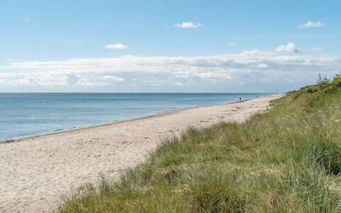 Myrra - 10M from the Sea: Roof, House, Home, Cottage, Siding, Estate, Driveway, Garden Buildings, Yard, Shed
