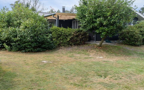 Margit - 10M from the Sea: Shrub, Garden, Land Lot, Lawn, Backyard, Shade, Yard, Cottage