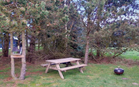 Crispina - 350M from the Sea: Outdoor Bench, Picnic Table, Outdoor Furniture, Outdoor Table, Furniture, Trunk, Woody Plant, Bench, Park, Garden