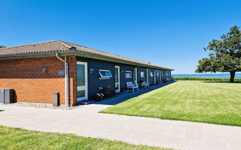 Emira - 50M from the Sea: Grass, Grassland, Landscape, Ecoregion, Plain, Plant Community, Land Lot, Outdoor Furniture, Prairie, Shrubland