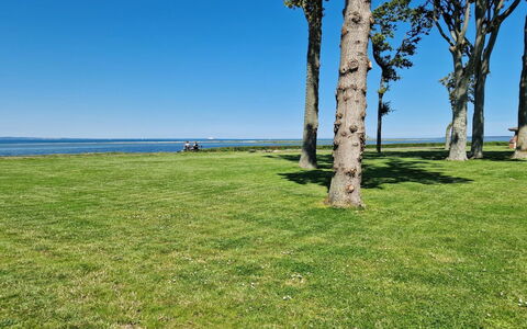 Emira - 50M from the Sea: Grass, Grassland, Landscape, Ecoregion, Plain, Plant Community, Land Lot, Outdoor Furniture, Prairie, Shrubland