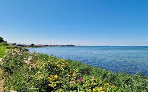 Emira - 50M from the Sea: Grass, Grassland, Landscape, Ecoregion, Plain, Plant Community, Land Lot, Outdoor Furniture, Prairie, Shrubland
