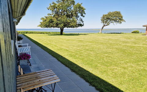 Emira - 50M from the Sea: Grass, Grassland, Landscape, Ecoregion, Plain, Plant Community, Land Lot, Outdoor Furniture, Prairie, Shrubland