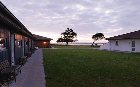 Emira - 50M from the Sea: Grass, Grassland, Landscape, Ecoregion, Plain, Plant Community, Land Lot, Outdoor Furniture, Prairie, Shrubland