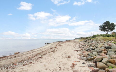 Radojka - 75M from the Sea: Roof, House, Land Lot, Home, Cottage, Estate, Garden Buildings, Shade, Log Cabin, Landscaping