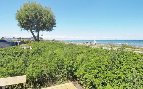 Vincent - 10M from the Sea: Blue, Green, Summer, Shrub, Sea, Ocean, Coastal And Oceanic Landforms, Groundcover, Coast, Shore