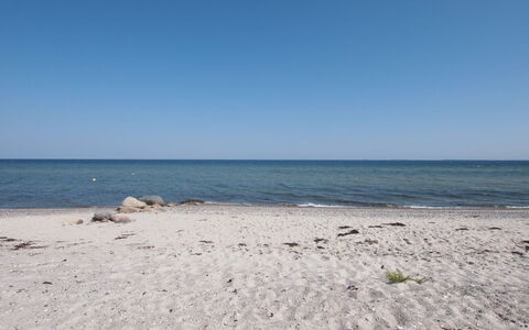 Vincent - 10M from the Sea: Sky, Blue, Water, Beach, Body Of Water, Water Resources, Horizon, Natural Environment, Coast
