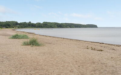 Sigurd - 20M from the Sea