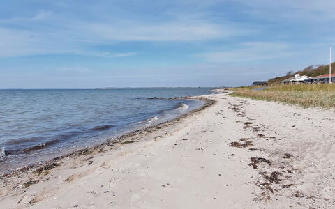 Bertold - 20M from the Sea: Blue, Shrub, Cottage, Groundcover, Garden, Estate, Shade, Landscaping, Farmhouse, Eco Hotel