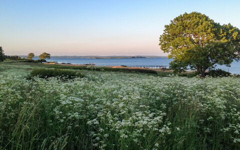 Bibi - 200M from the Sea: Blue, Shrub, Cottage, Groundcover, Garden, Estate, Shade, Landscaping, Farmhouse, Eco Hotel
