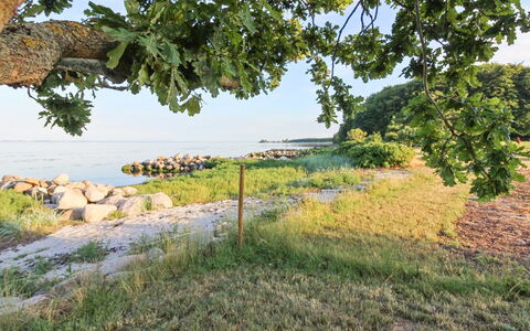 Sasser - 10M from the Sea: Blue, Shrub, Cottage, Groundcover, Garden, Estate, Shade, Landscaping, Farmhouse, Eco Hotel