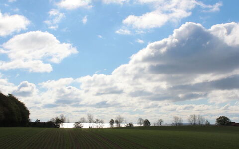 Harre - 300M from the Sea: Grass, Shrub, House, Garden, Home, Cottage, Land Lot, Lawn, Groundcover