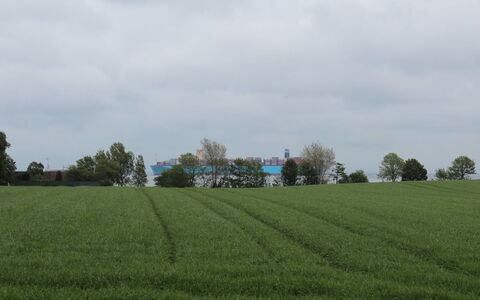 Harre - 300M from the Sea: Grass, Shrub, House, Garden, Home, Cottage, Land Lot, Lawn, Groundcover