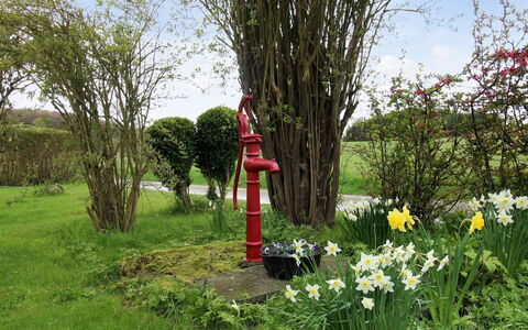 Harre - 300M from the Sea: Flower, Shrub, Garden, Spring, Lawn, Landscaping, Herbaceous Plant, Yard