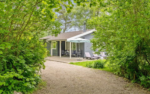 Felisa - 300M from the Sea: Shrub, Home, House, Cottage, Garden, Groundcover, Spring, Shade, Siding
