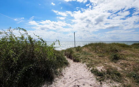 Emin - 100M from the Sea: Sky, Blue, Natural Environment, Horizon, Vegetation, Ecoregion, Summer, Landscape, Cloud, Plant Community
