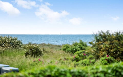 Emin - 100M from the Sea: Sky, Blue, Daytime, Green, Horizon, Vegetation, Summer, Sea, Shrub, Plant Community