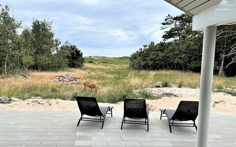 Jorn - 75M from the Sea: House, Roof, Home, Cottage, Shed, Garden Buildings, Siding, Yard, Log Cabin, Hut