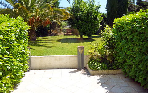 Saint-Tropez 515: Plant, Sky, Plant Community, Leaf, Green, Natural Landscape, Tree, Land Lot, Architecture, Road Surface