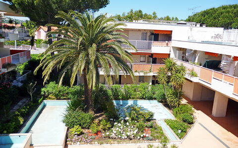 Saint-Tropez 515: Plant, Daytime, Building, Tree, Sky, Swimming Pool, Urban Design, Arecales, Condominium, Neighbourhood