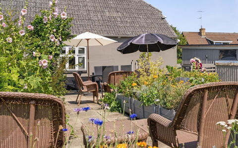 Evje - 250M from the Sea: Flower, Shrub, Flowerpot, Furniture, Outdoor Furniture, Cottage, House, Garden, Chair