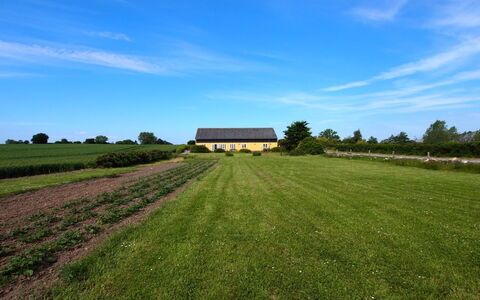 Joran - 120M from the Sea: Green, Grass, Grassland, Plain, Rural Area, Field, Landscape, Land Lot, Ecoregion, Pasture