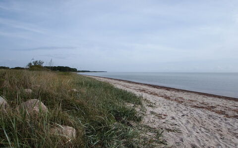 Joran - 120M from the Sea: Sky, Coast, Beach, Horizon, Coastal And Oceanic Landforms, Shore, Sea, Summer, Ecoregion