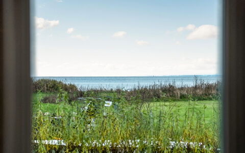 Joran - 120M from the Sea: Green, Natural Landscape, Ecoregion, Cloud, Plain, Sea, Morning, Prairie, Sunlight, Ocean