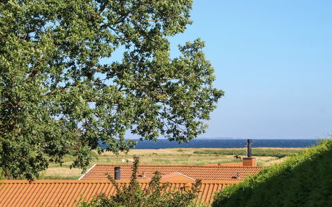Roel - 500M from the Sea: Blue, Green, Leaf, Plain, Land Lot, Rural Area, Morning, Sunlight, Woody Plant, Shade
