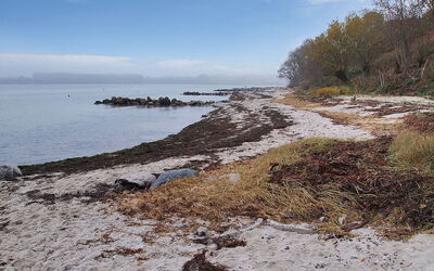 Majbritt - 50M from the Sea