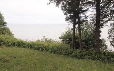 Pirjo - 50M from the Sea: Roof, House, Land Lot, Home, Cottage, Estate, Garden Buildings, Shade, Log Cabin, Landscaping
