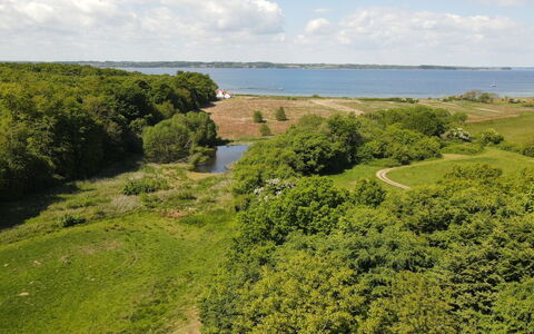 Rosa - 300M from the Sea: Green, Natural Landscape, Vegetation, Grassland, Ecoregion, Landscape, Plant Community, Plain, Bird'S-Eye View, Aerial Photography