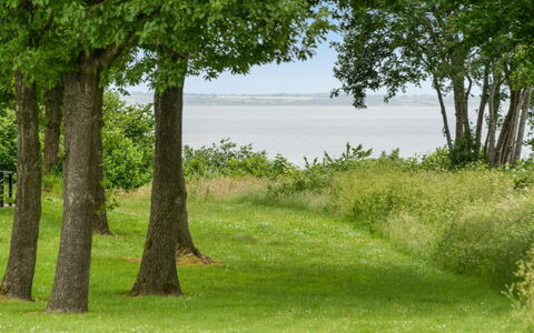 Ditte - 300M from the Sea: Green, Grass, Natural Environment, Leaf, Natural Landscape, Vegetation, Grassland, Land Lot, Plain, Trunk