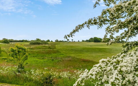 Ditte - 300M from the Sea: Sky, Green, Tree, Natural Environment, Vegetation, Natural Landscape, Grassland, Shrub, Summer