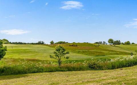 Ditte - 300M from the Sea: Sky, Blue, Green, Natural Environment, Grass, Grassland, Natural Landscape, Ecoregion, Plain, Vegetation