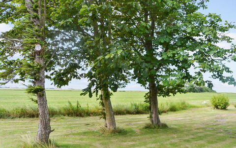 Juuso - 20Km from the Sea: Roof, House, Home, Cottage, Door, Siding, Deck, Porch, Plank, Hardwood