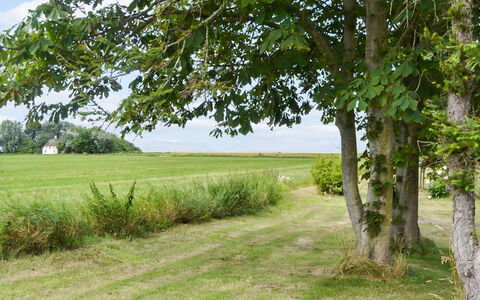 Juuso - 20Km from the Sea: Roof, House, Home, Cottage, Door, Siding, Deck, Porch, Plank, Hardwood