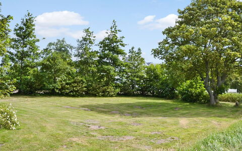 Juuso - 20Km from the Sea: Green, Tree, Leaf, Branch, Vegetation, Shrub, Grassland, Plant Community, Plain