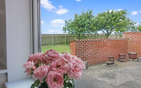 Skarpe: Flower, Shrub, Petal, Brick, Brickwork, Garden, Flowerpot, Floristry, Daylighting, Houseplant