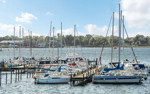 Joar - 5M to the Fjord: Boat, Blue, Water, Body Of Water, Watercraft, Marina, Boats And Boating--Equipment And Supplies, Waterway, Dock, Port
