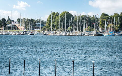 Joar - 5M to the Fjord: Blue, Water, Waterway, Boat, Marina, Watercraft, Mast, Channel, Lake, Port