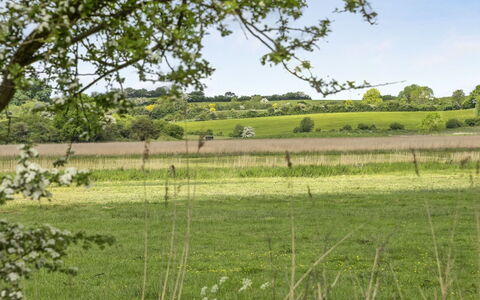 Sigbritt - 100M from the Sea: Green, Tree, Natural Environment, Grassland, Natural Landscape, Vegetation, Plain, Field, Ecoregion, Pasture